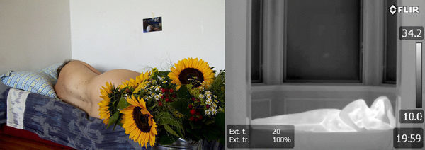 Anne Dyhr: Til en Lejlighed/Remains, 2018. / Luna Scales: Videostill fra FLIR T420, 2016.