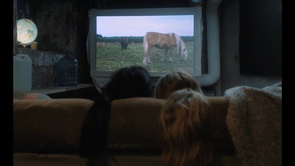 Red and Blue Ball - Videostill